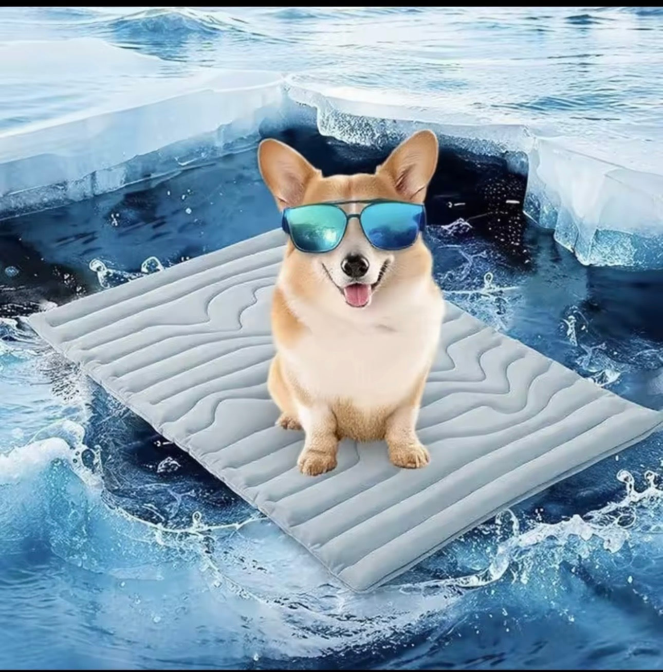 Safe Paws - Hundekühlmatte