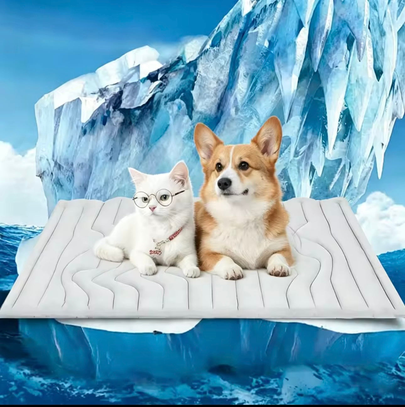 Safe Paws - Hundekühlmatte