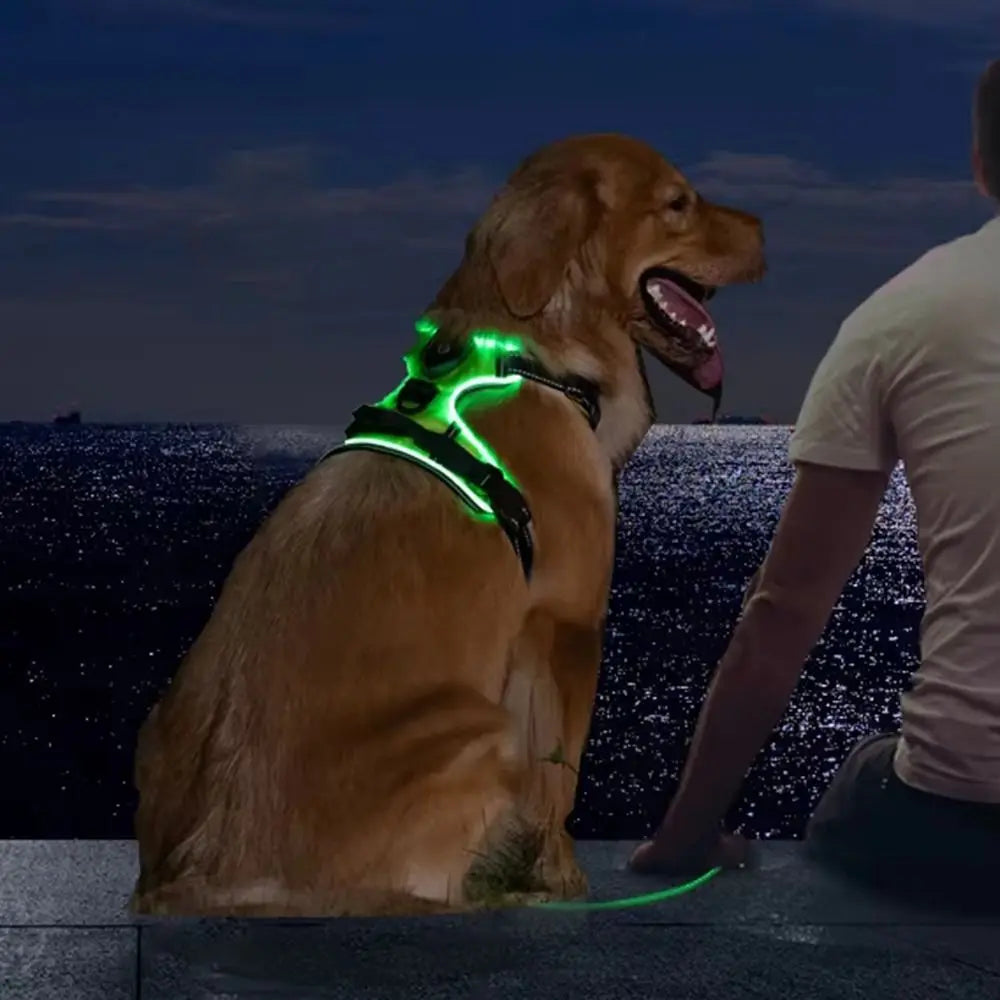 LED-Hundegeschirr universal für Hunde und Katzen wiederaufladbar