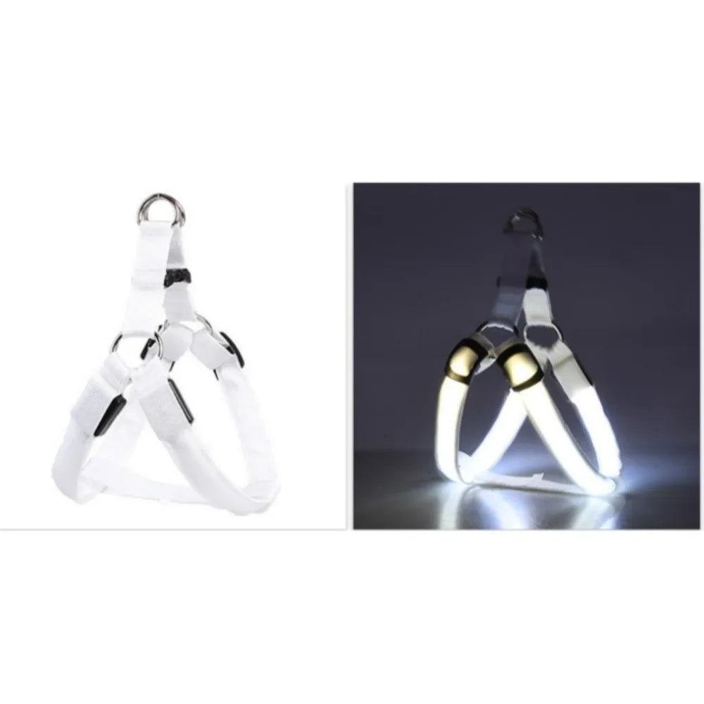 LED-Geschirr robust 10 Stunden Batterielebensdauer