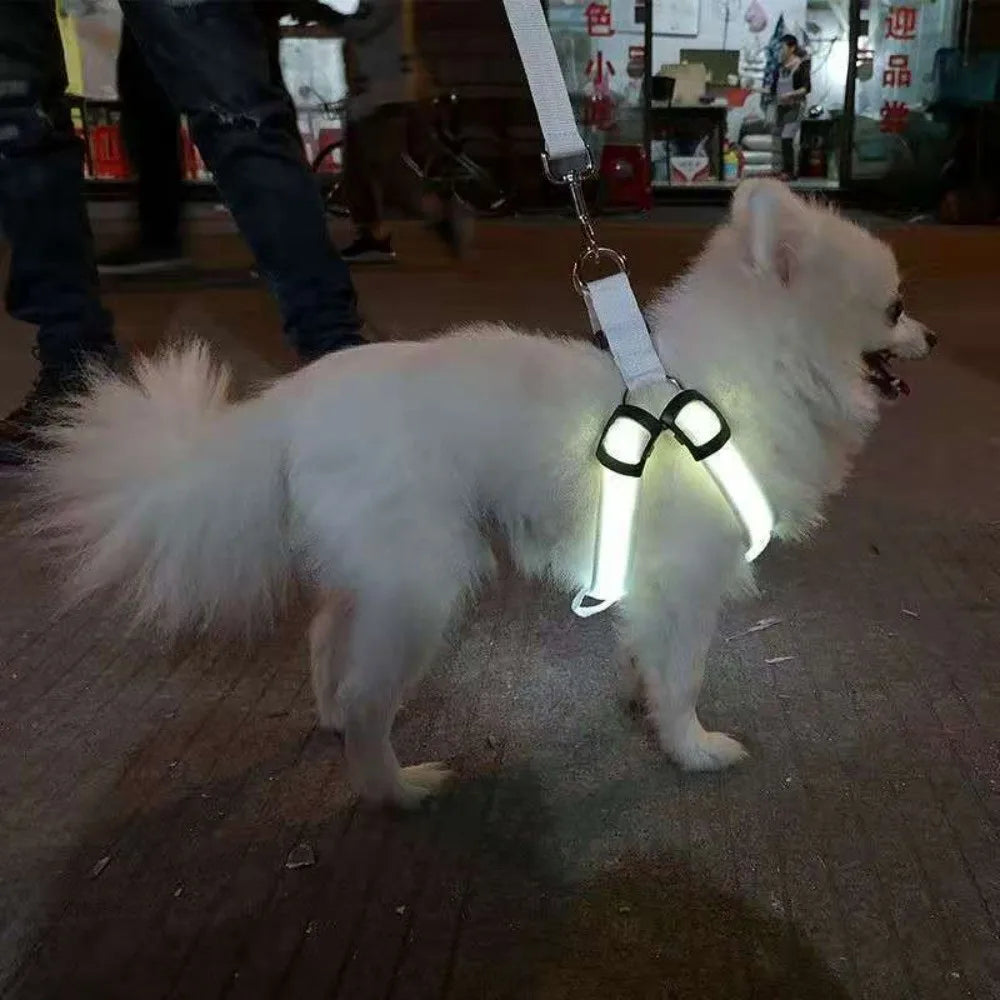 Verstärktes LED-Hundegeschirr hochfestes Nylon