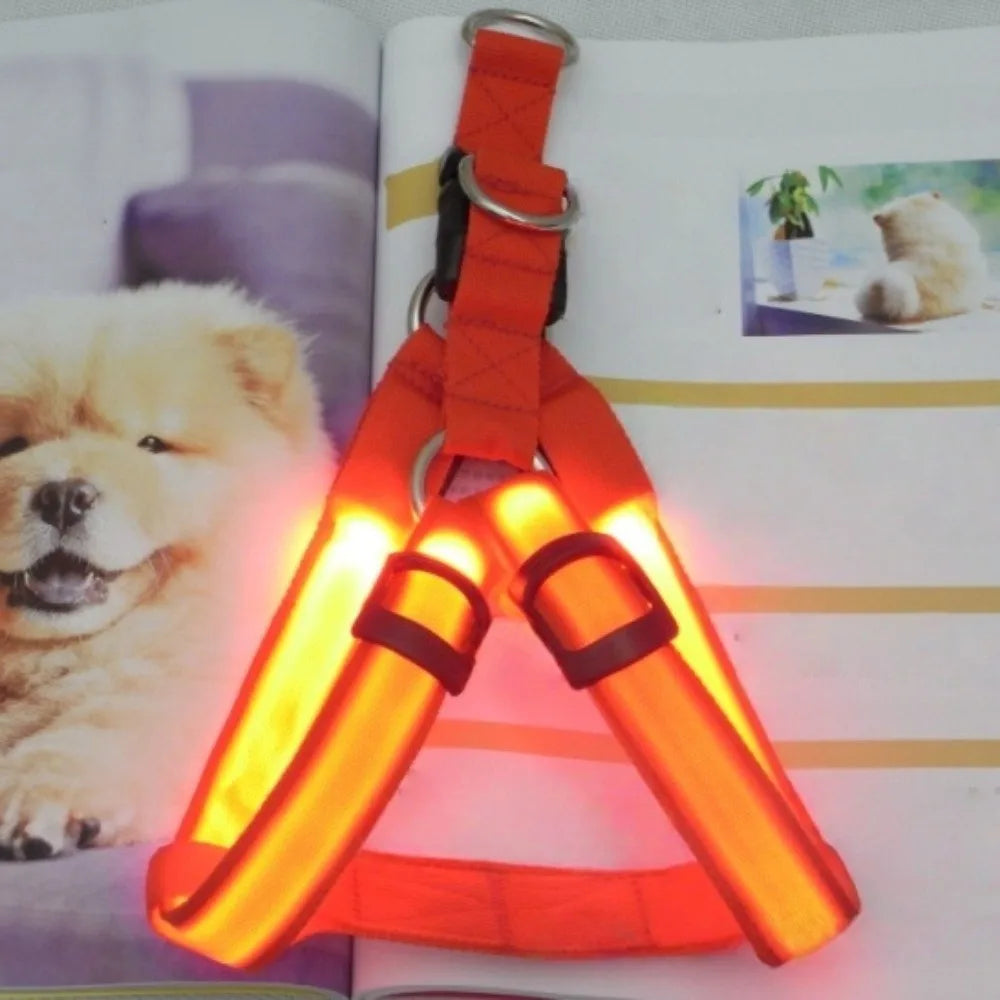 LED-Geschirr robust 10 Stunden Batterielebensdauer