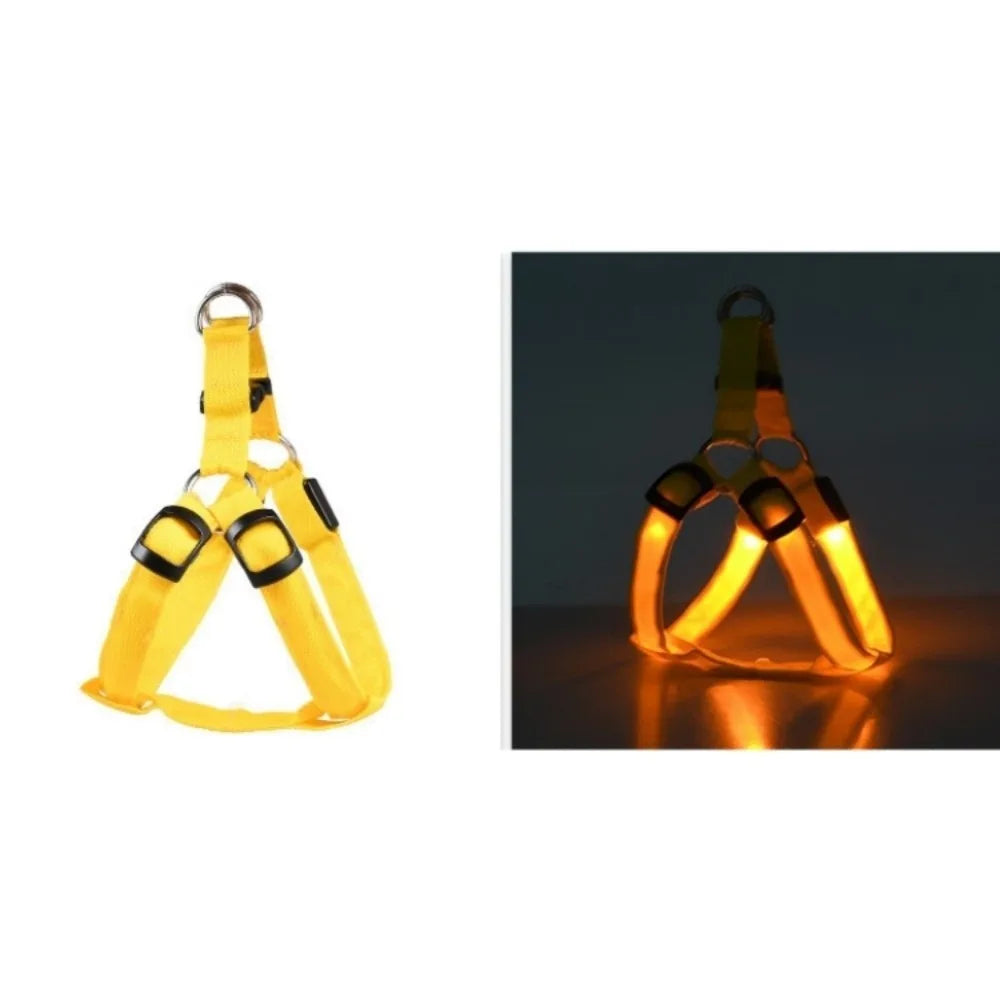 Hund trägt LED-Geschirr S,M,L bei Nach