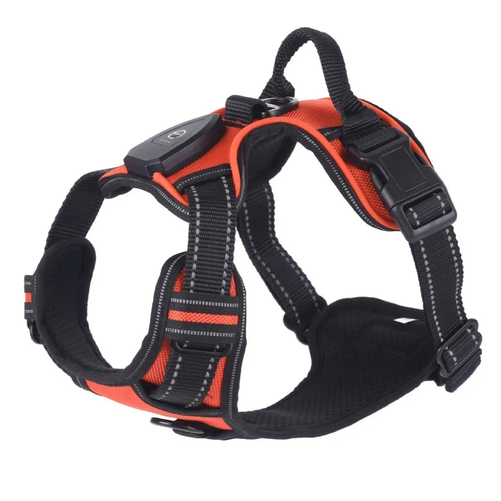 LED-Geschirr Details Nahaufnahme