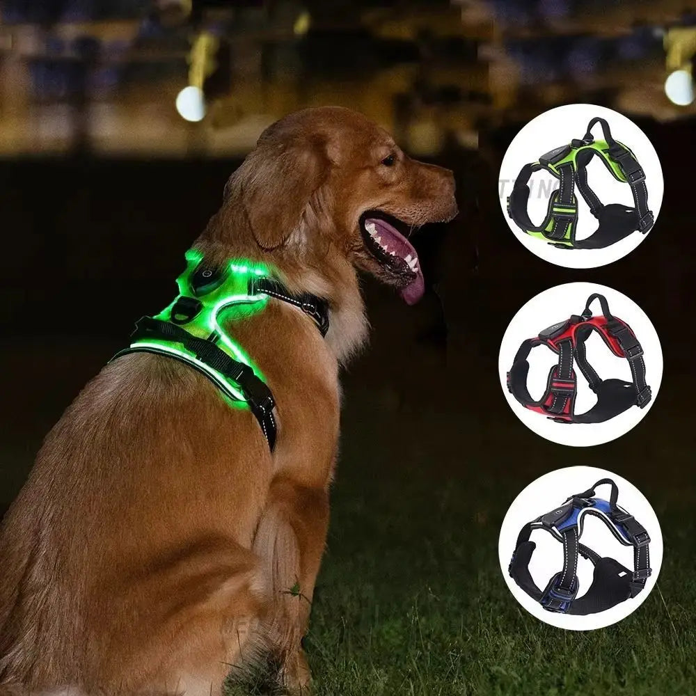 LED-Hundegeschirr universal für Hunde und Katzen wiederaufladbar