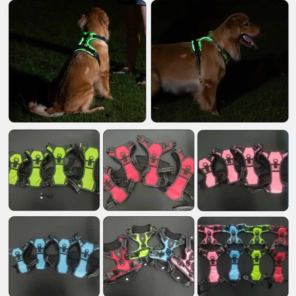 LED-Hundegeschirr universal für Hunde und Katzen wiederaufladbar